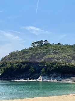 トンビの巣。