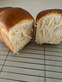 mountain 食パン。