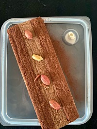 ちょこちょこterrine