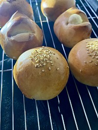 Japanese anpan